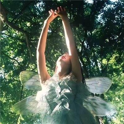 鲜衣驽马踏歌行